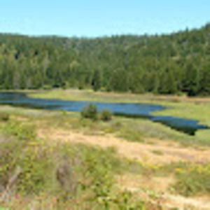 Meet your Posher, Cris